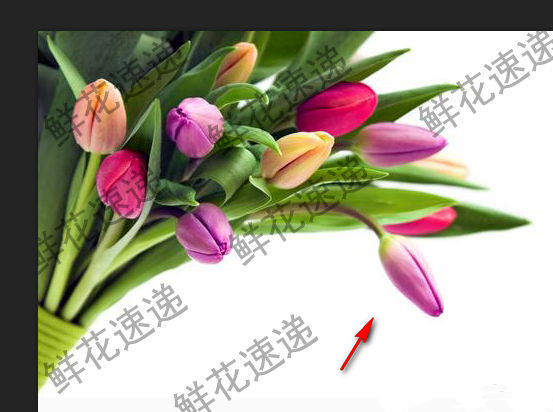 关于用PS完美去除图片上的连续水印