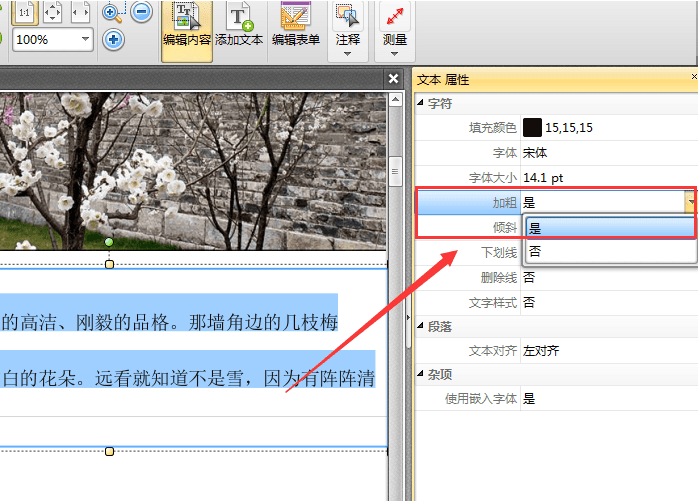 关于用捷速PDF编辑器对PDF文件部分文字进行加粗显示