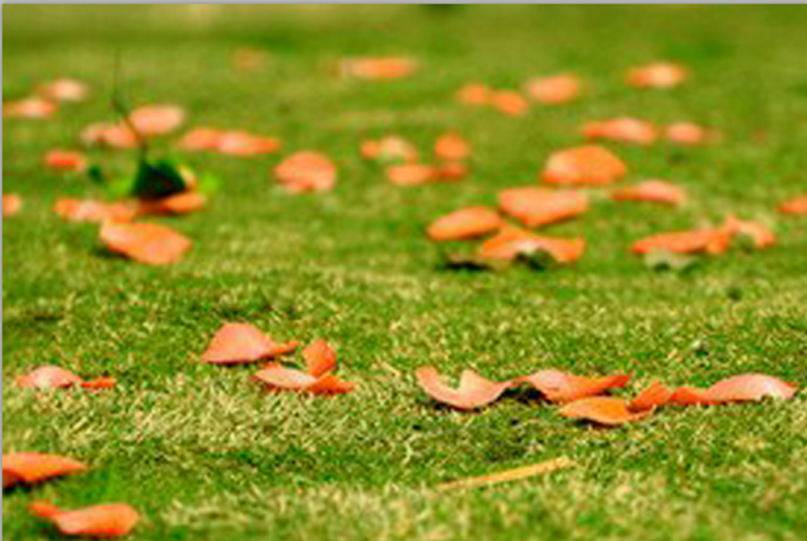 关于用ps制作雨天动图，易学易操作