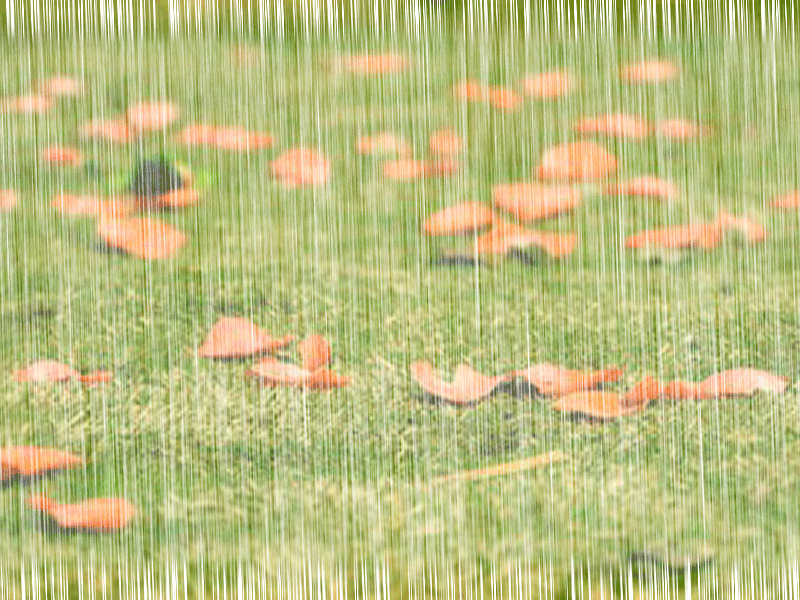 关于用ps制作雨天动图，易学易操作