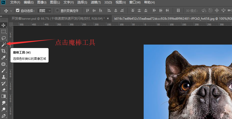 关于用PS魔棒工具来抠图，一看就会