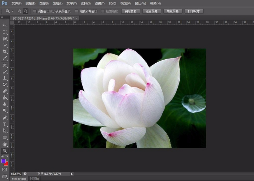 关于用 PS 给图片去水印，一看就会。