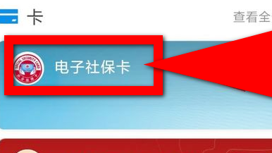 关于支付宝查询社保缴费信息的具体方法。