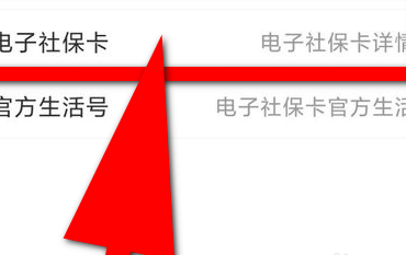 关于支付宝查询社保缴费信息的具体方法。