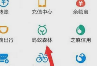 关于支付宝获得环保证书的详细方法。