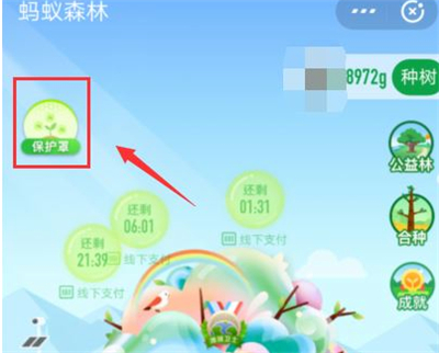 关于支付宝弄种树彩色树的方法步骤。