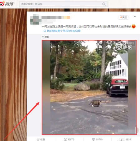 关于在 Google 浏览器中下载网页上视频。