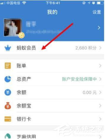 关于支付宝如何成为钻石会员