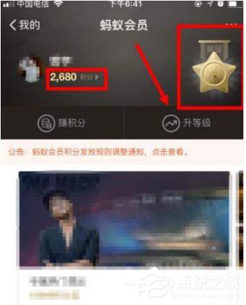 关于支付宝如何成为钻石会员