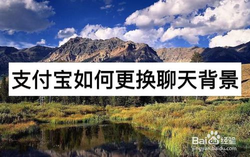 关于支付宝怎么换聊天背景。