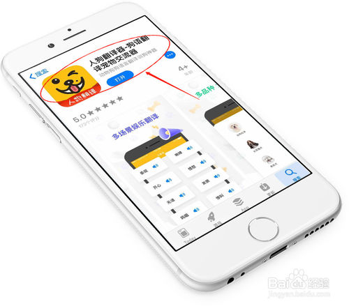关于怎么使用人狗翻译器陪狗狗玩耍。