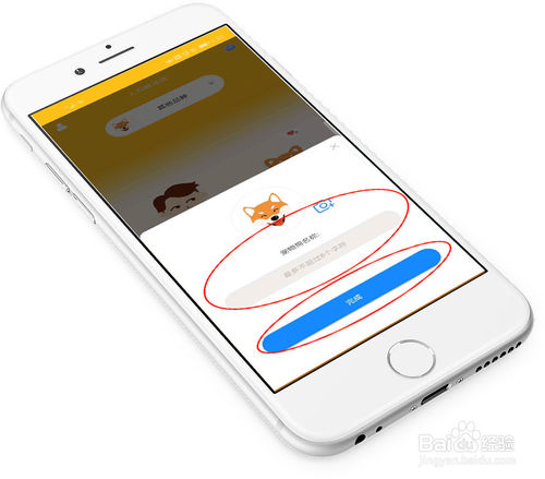 关于怎么使用人狗翻译器陪狗狗玩耍。