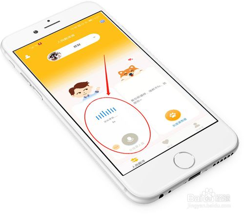 关于怎么使用人狗翻译器陪狗狗玩耍。