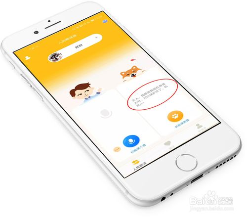 关于怎么使用人狗翻译器陪狗狗玩耍。
