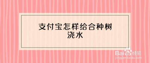 关于支付宝如何给合种树浇水。