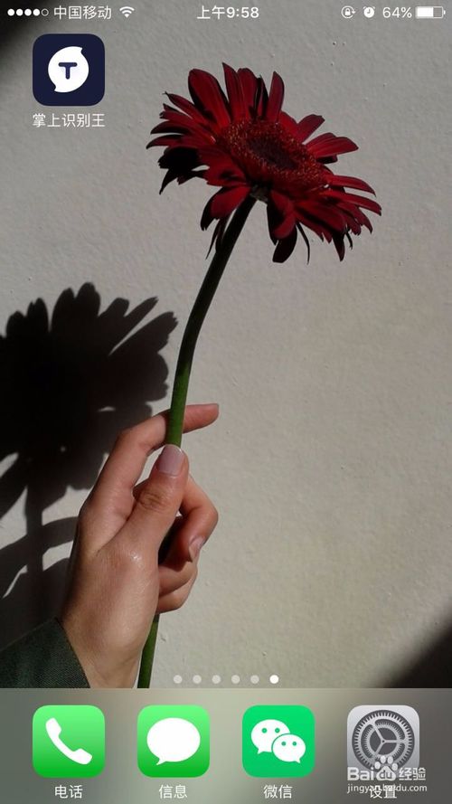 关于怎么将图片中的文字提取出来。