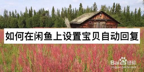 关于怎么在闲鱼上设置宝贝自动回复。