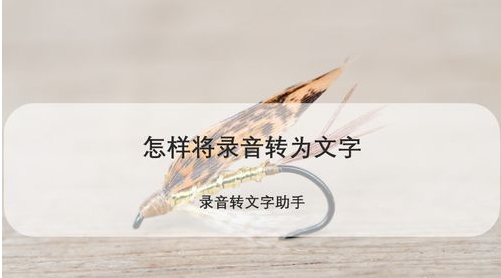 怎样将录音转为文字