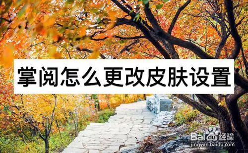 关于掌阅怎么设置皮肤。