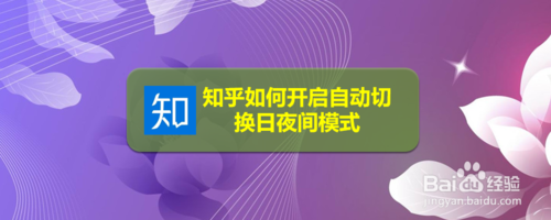 关于知乎怎么打开自动切换日夜间模式。