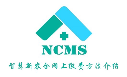 关于智慧新农合怎么网上缴费。
