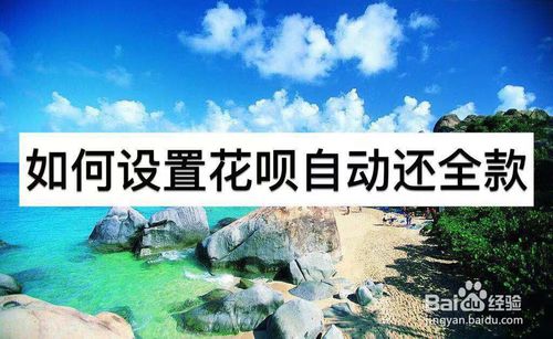 关于怎么设置花呗自动还款全额。