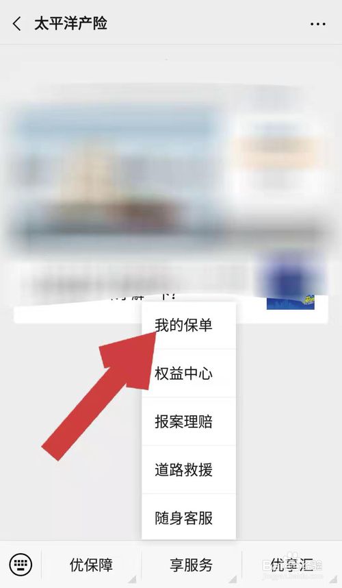关于怎么在手机上查看太平洋车险保单。