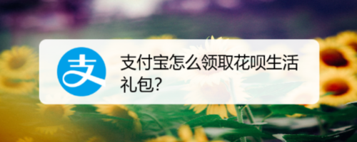 关于支付宝花呗生活礼包在哪领。