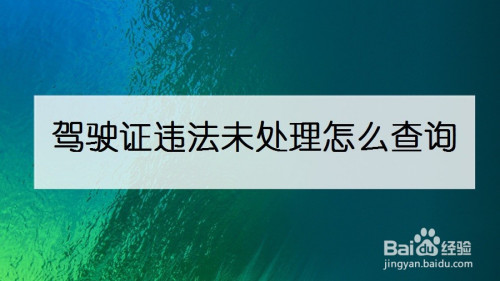 关于支付宝怎么查询驾驶违规罚单。