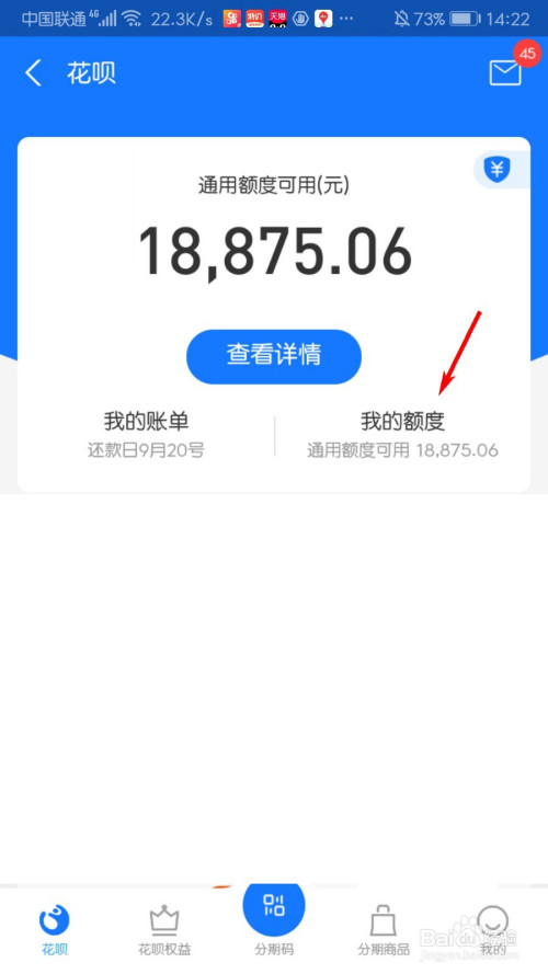 关于支付宝花呗临时额度怎么查看。