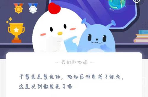 干紫菜是紫色的,炖汤后却变成了绿色,这是买到了假紫菜了吗。