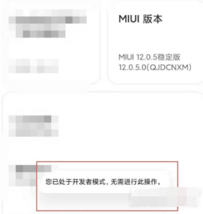红米note11Pro+如何打开开发者模式。