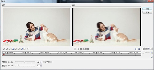 会声会影将视频模糊化的操作步骤。