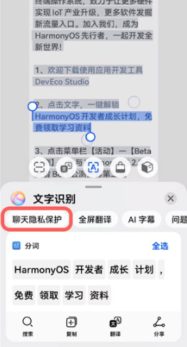 华为聊天隐私保护如何用。