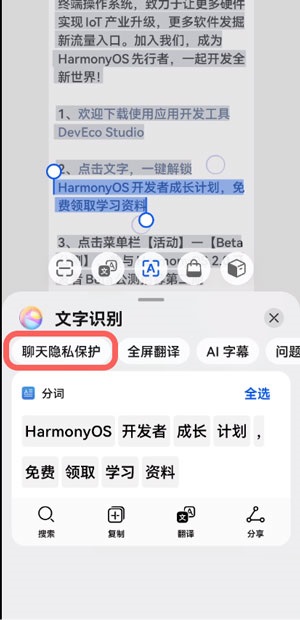 华为聊天隐私保护如何使用。