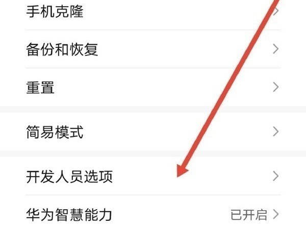 华为mate30怎么打开开发者选项。