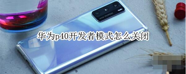 华为p40开发者模式怎么关闭。