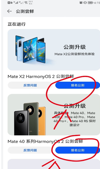 华为p30可以升级鸿蒙系统吗。