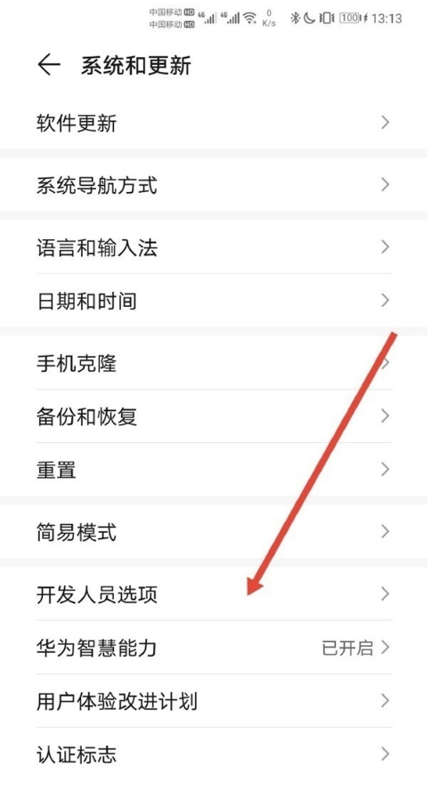 华为SA模式在什么地方。