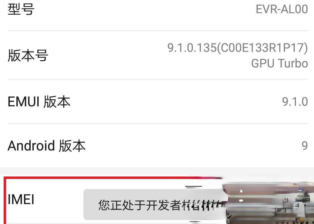 华为手机如何开启开发者选项。
