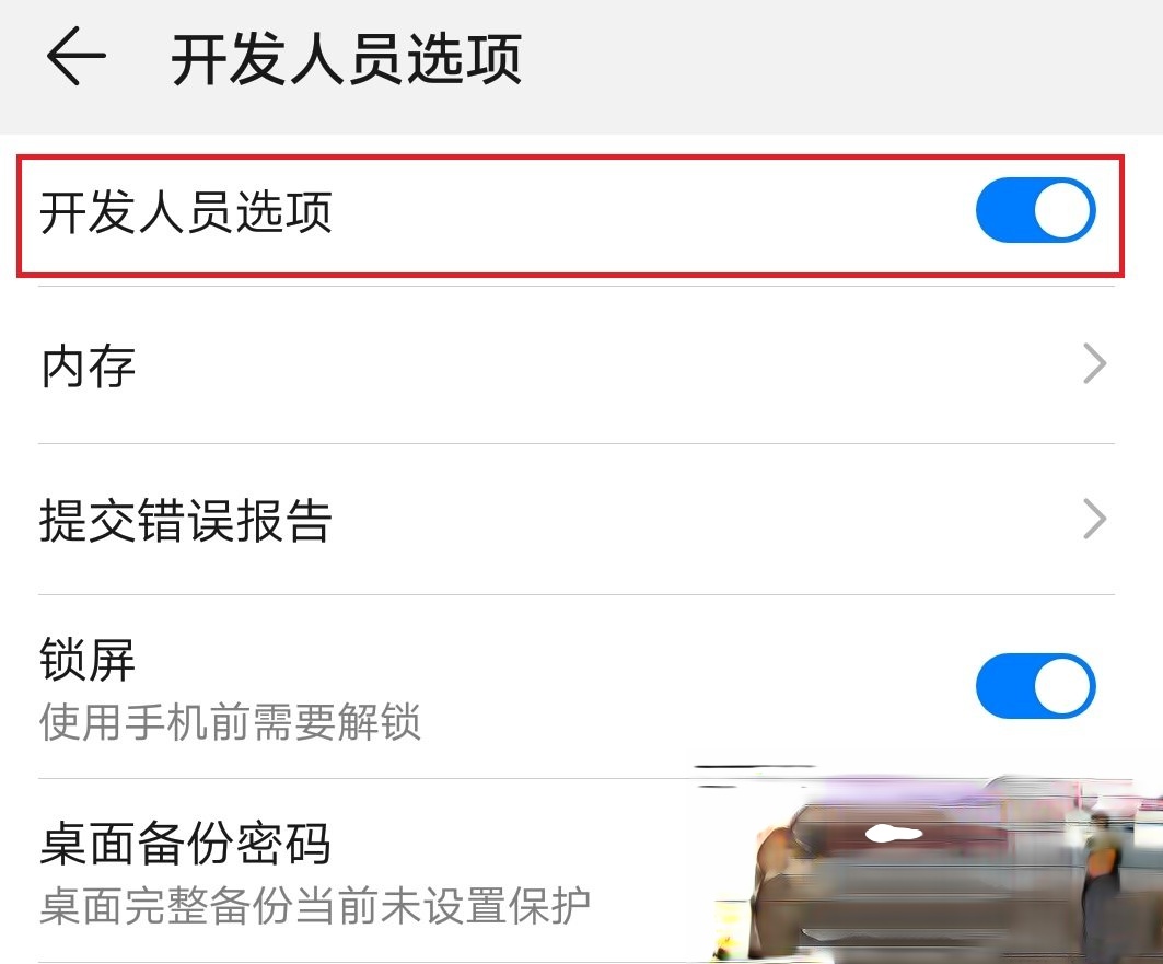 华为手机如何开启开发者选项。
