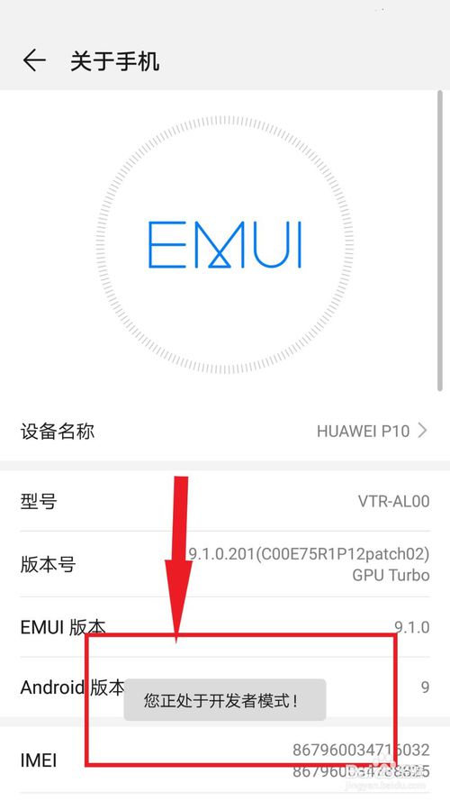 华为手机怎么打开开发者模式。