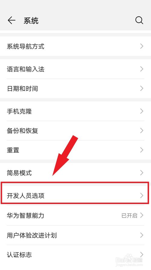 华为手机怎么打开开发者模式。