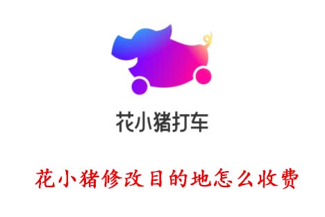 花小猪怎么重新定位。