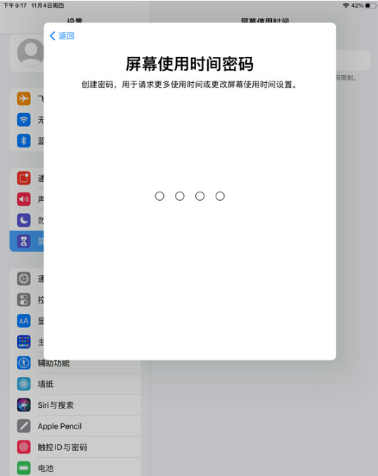 ipad青少年模式在什么地方打开。
