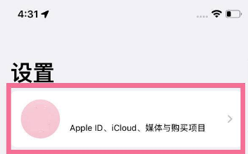 1633682784186044.png iphone13mini如何退出id