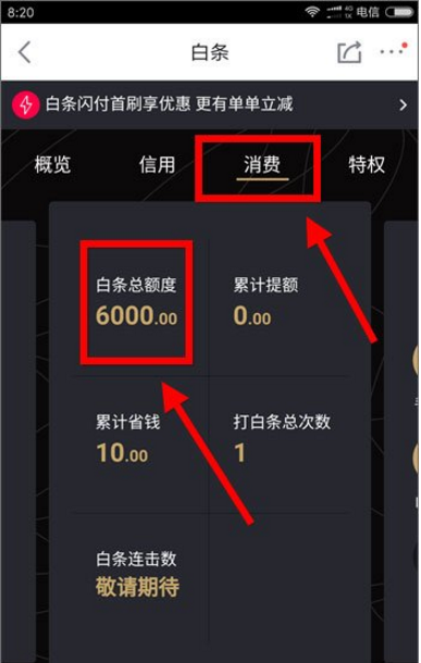 京东app中进行白条还款的具体步骤
