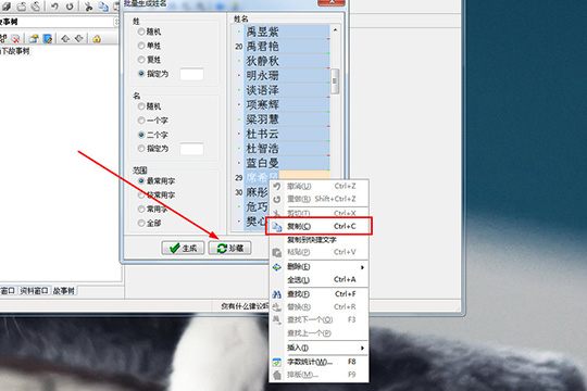 吉吉写作起名的简单操作讲解。