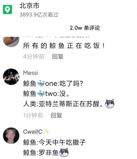 鲸鱼的叫声亚特兰蒂斯正在苏醒什么梗。