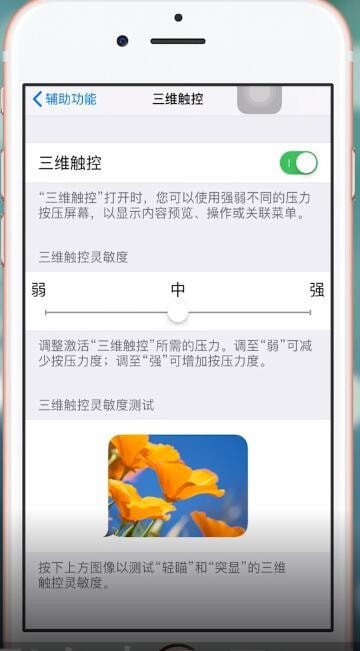 经验分享苹果手机设置3dtouch的图文操作。